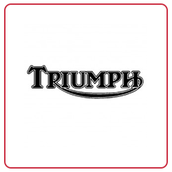 Vējstikli priekš Triumph (23)